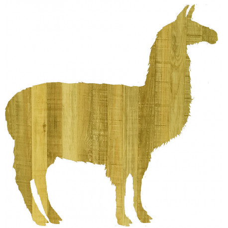 LAMA