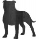 STAFFORDSHIRE BULL TERRIER