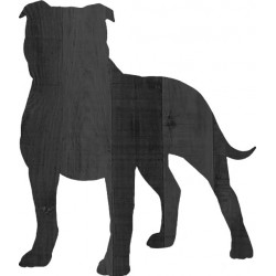 STAFFORDSHIRE BULL TERRIER