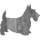 SCOTTISH TERRIER