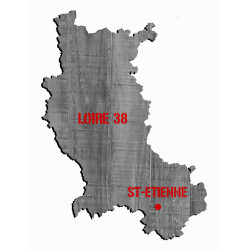 42 CARTE DE LA LOIRE 42