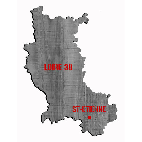 42 CARTE DE LA LOIRE 42