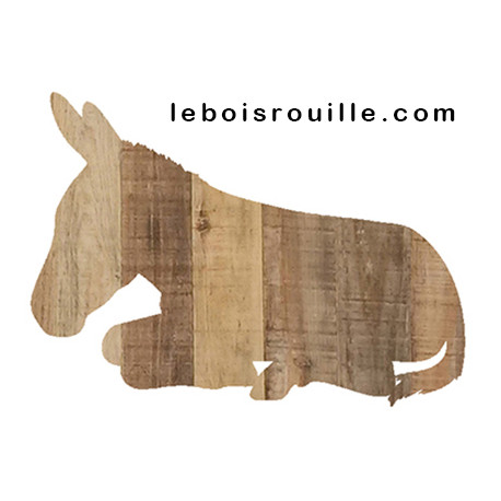 ANE-COUCHE-01