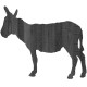 ANE