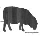 MOUTON 02