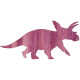 ANCHICERATOPS