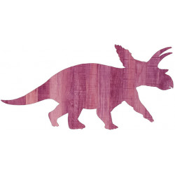 ANCHICERATOPS