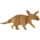 ANCHICERATOPS