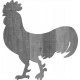 COQ 01