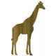 GIRAFE