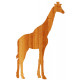 GIRAFE