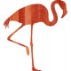 FLAMANT ROSE